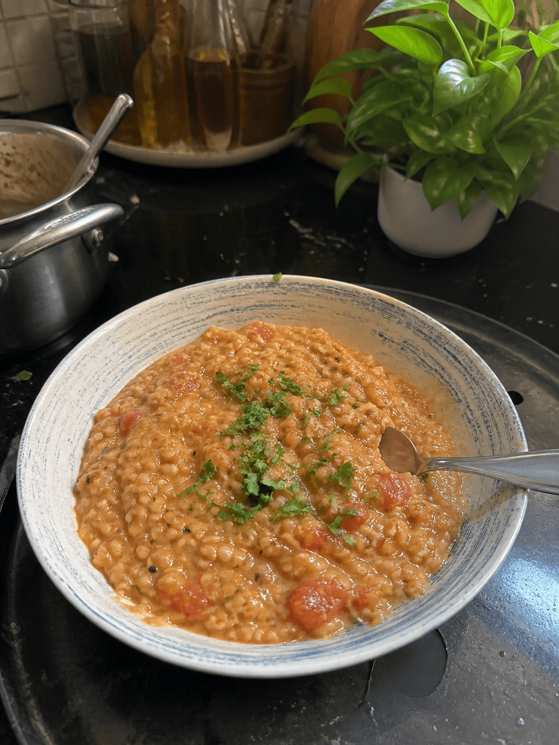 Savory Tomato Herb Oats